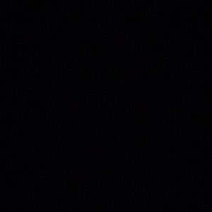 Meet your Posher, Daisy